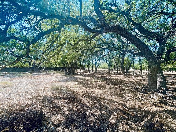 4th image of 233 Towhead Valley Rd