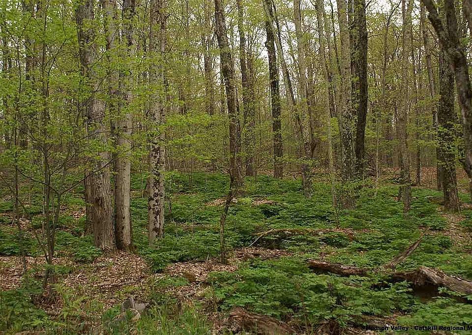 2nd image of 485 New Kingston Rd