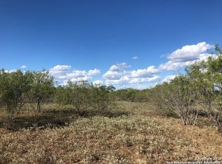 815 Verdi Rd, Pleasanton, TX 78064