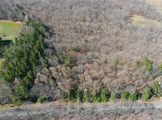 0 Woodard Rd #10, Ellicottville, NY 14731