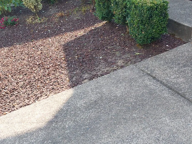 17024 SE Rhododendron St — Photo 24
