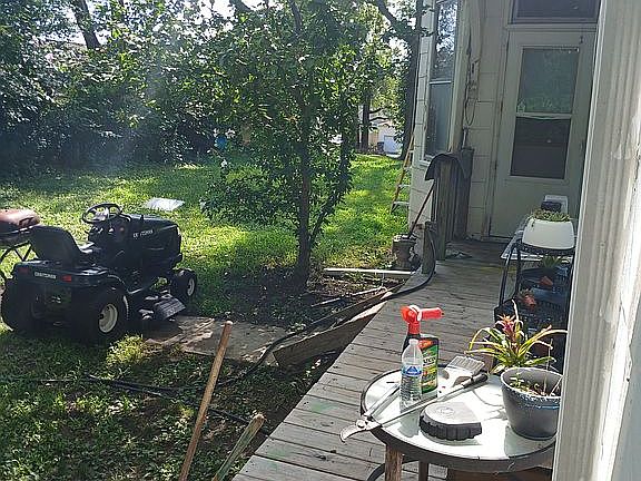 Side of house/backyard