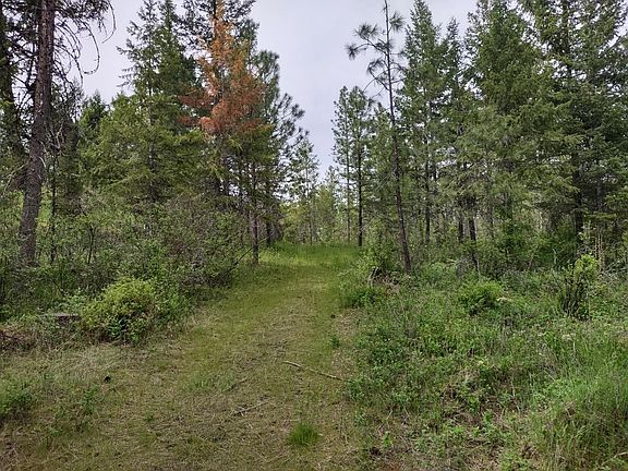 5th image of E Jump Off Joe Rd #125 acres