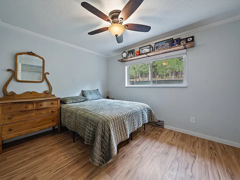 356 Yellow Pine Dr — Photo 21