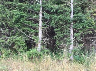 0 S Toutle Rd LOT 1, Toutle, WA 98649