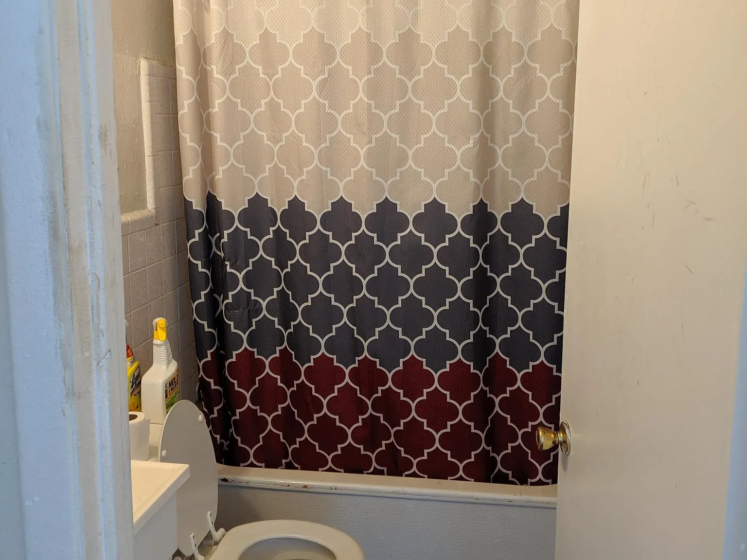 2 bed, 690 sqft, $1,250 — Photo 4