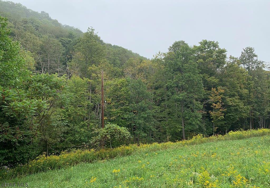 1123 Burnt House Rd, Imler, PA 16655 Zillow
