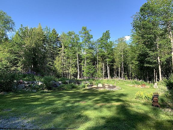 backyard/garden/firepit area