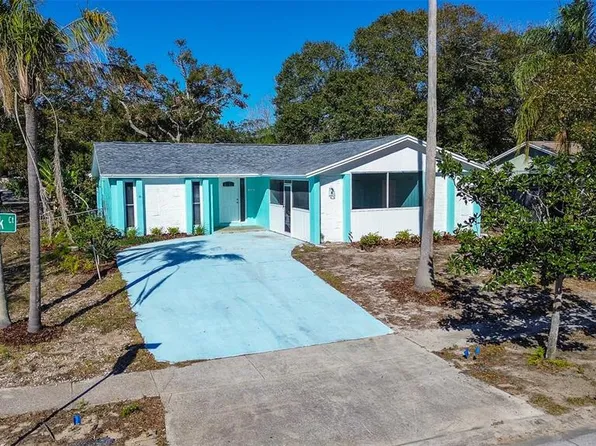 1316 Paddock Ct, Tarpon Springs, FL 34689