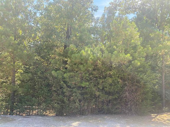 2nd image of 52 Linares Ln