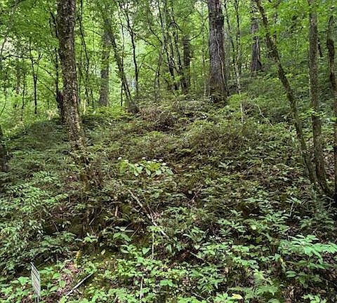 3rd image of Esslinger Drive & Low Gap Rd