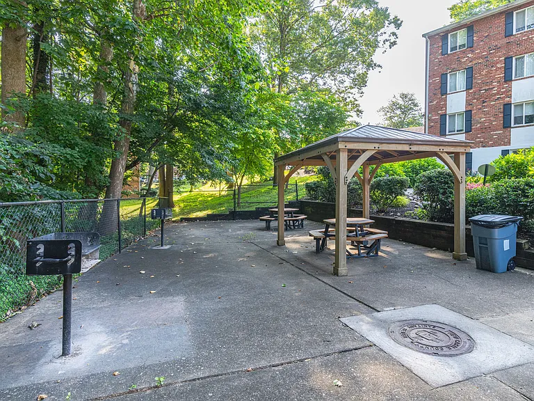 Grill/Picnic Area