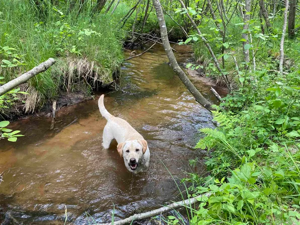 160 Ac Off #Of, Big Bay, MI 49808