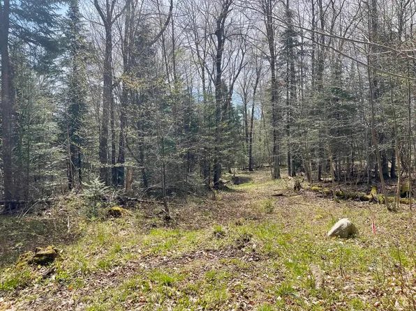 00 Peene Hill Road, Westmore, VT 05822