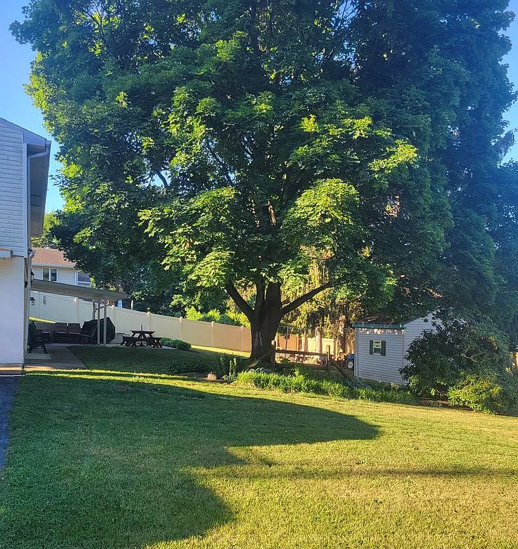 3 bed, 1.5 bath, 1575 sqft, $2,200 — Photo 2