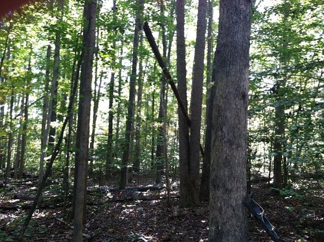 2nd image of 258 Meadowview Ln