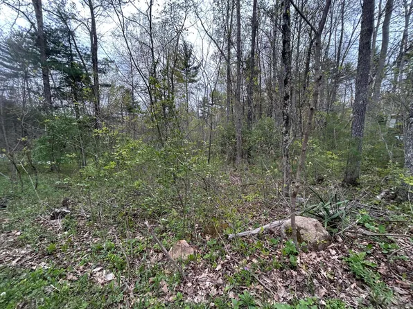Underwood Ln, Gap Mills, WV 24941