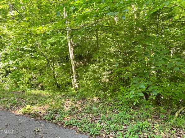 LOT 110 Fir Way, Sevierville, TN 37876