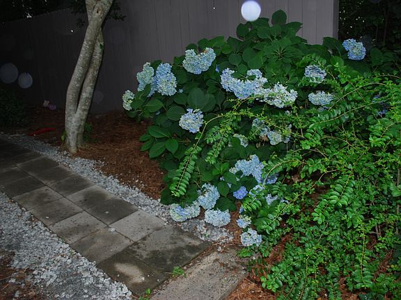 3rd image of 3893 Woodridge Way #3893