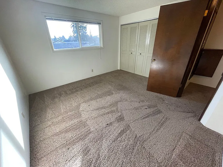 Bailey — Photo 15