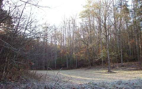 1st image of Fortenberry Cir