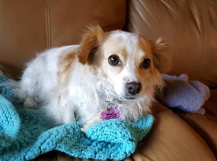 1002 Hi Cir W UNIT B, Horseshoe Bay, TX 78657