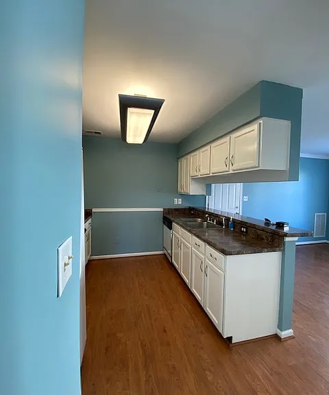 1121 Shoal Creek Trl — Photo 9