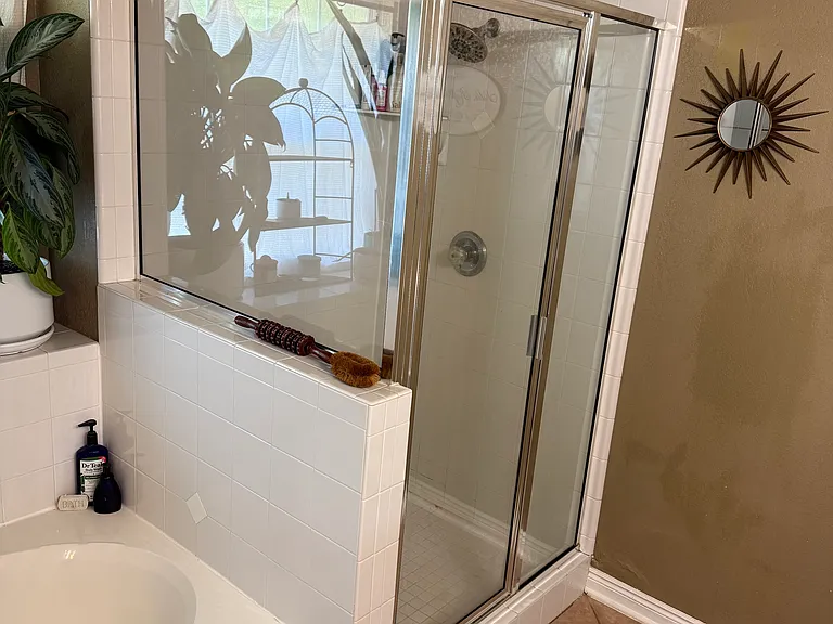Master bathroom shower and tub