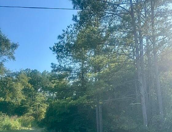 2nd image of 6126A Clarkson Rd