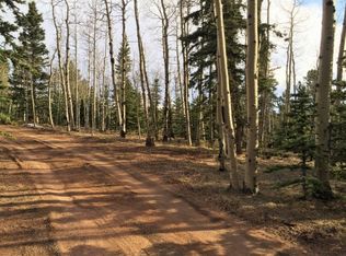 568 Divide South Dr, Divide, CO 80814