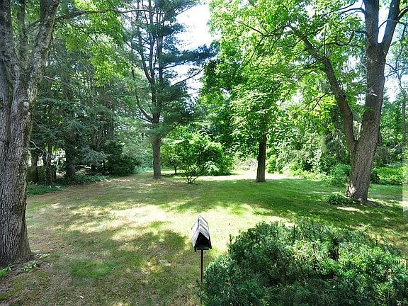 3rd image of 99 Thalia Dr