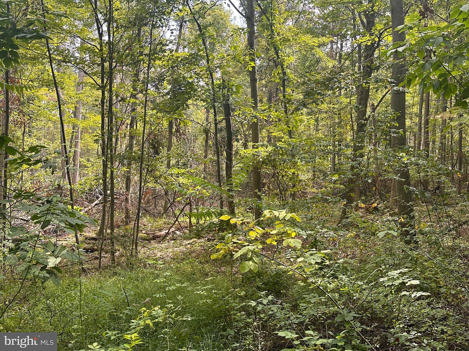 Shadyside Ln, Elk Garden, WV 26717 Zillow