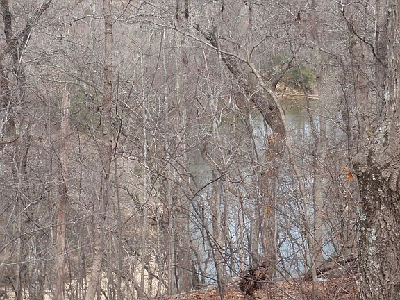 View of the Pacolet River