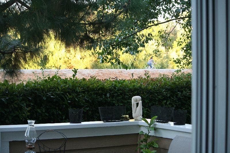creek side patio