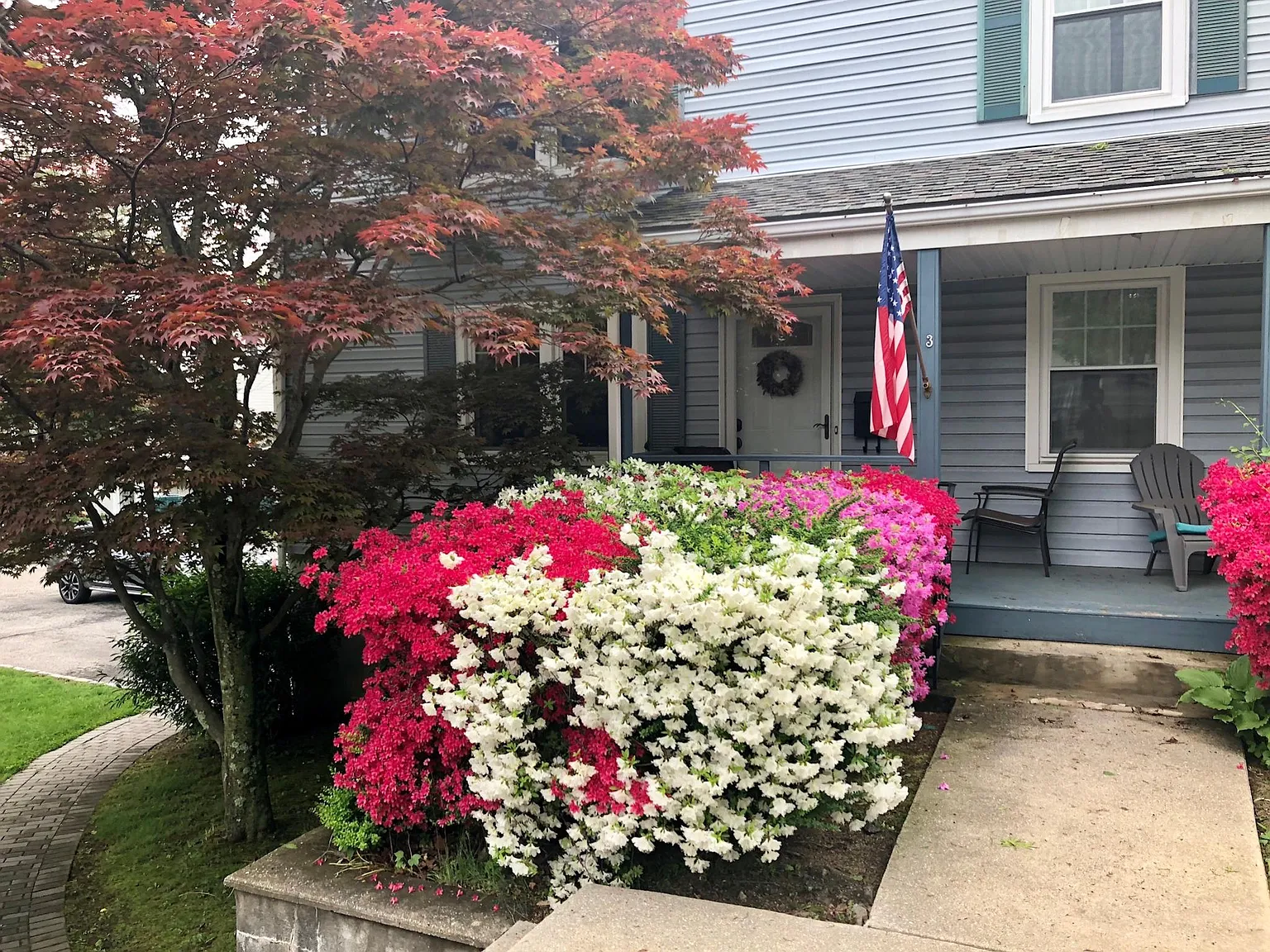 3 bed, 1200 sqft, $4,000 — Photo 4