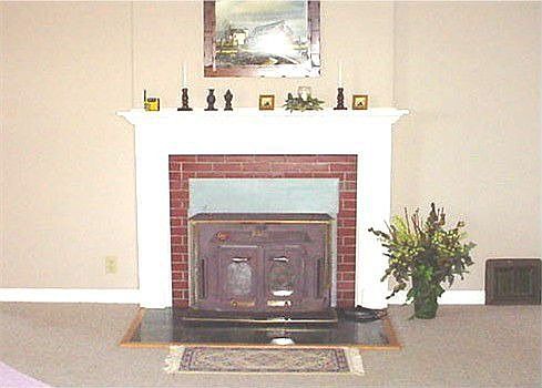 Fireplace insert