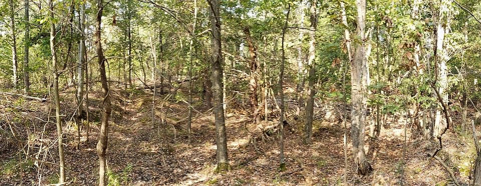 2nd image of 18200 Horsehead Rd
