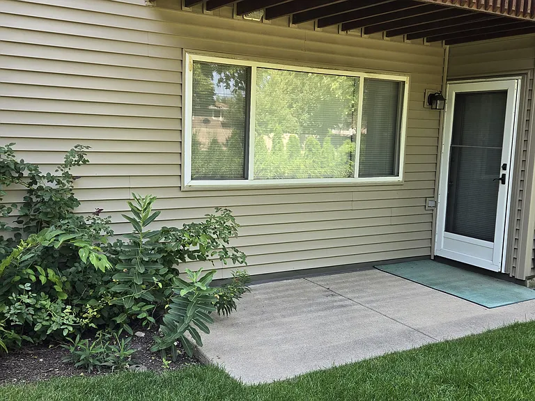 Patio and spacious backyard