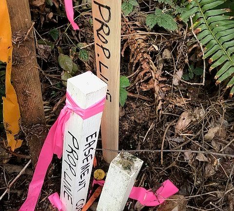 3rd image of 23224 Amanda Ln