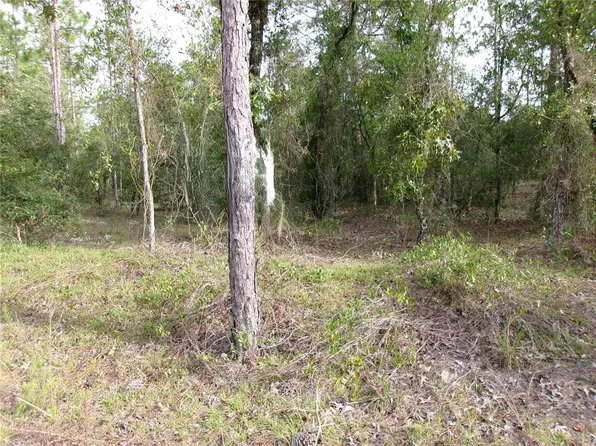 LOT 8 SW Nautilus Blvd Lot 8, Dunnellon, FL 34431