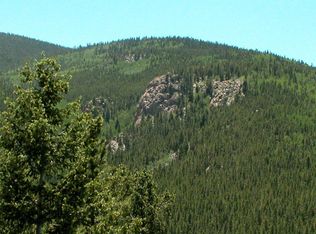 9085 Jill Dr, Conifer, CO 80433
