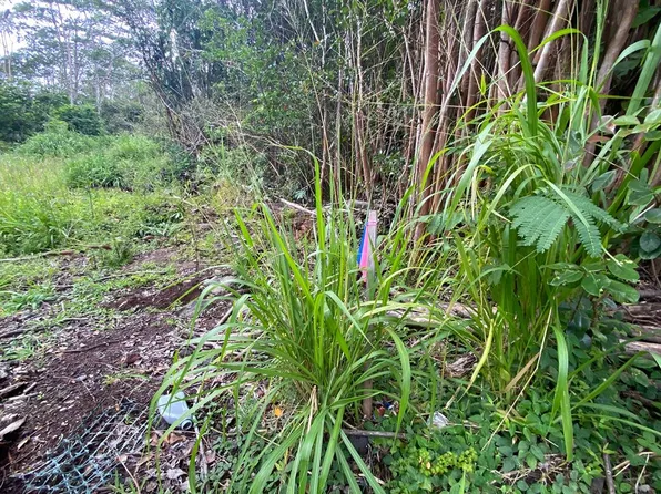Diamond Head Dr Lot 798, Pahoa, HI 96778