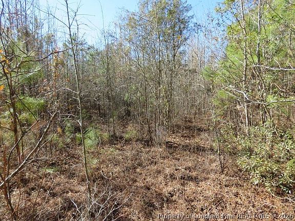 4th image of Glory Light Rd