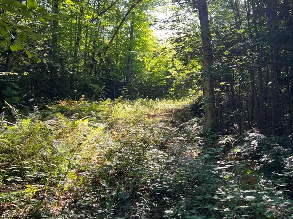 Lot 9 Songo Pond Road, Albany Twp, ME 04271