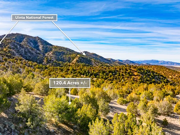 0 County Road 28, Levan, UT 84639