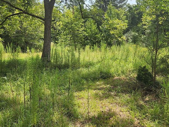 4th image of 0 Bradshaw Quarry Rd #1
