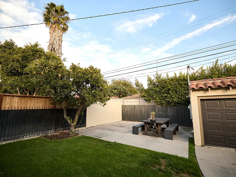 Backyard with orange tree