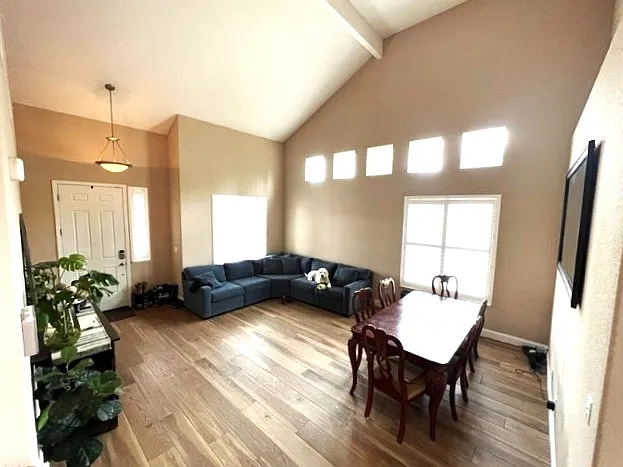Dining/Living Room Combo