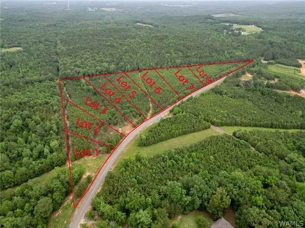 LOT 4 John Swindle Rd, Northport, AL 35475