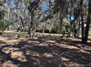 819 E Wacker St, Hernando, FL 34442